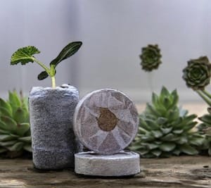 DIY Gardening Kit